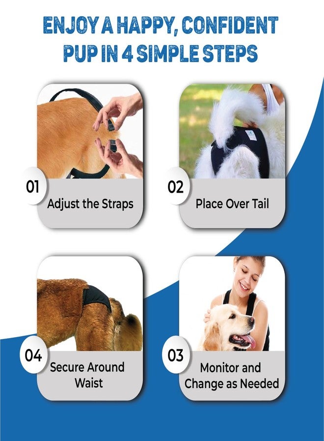 Trixie Pads for Protective Pants, Designed for Dogs, Prevents Stains on Carpets & Other Fabrics, Perfect for House Training - 10pcs, M (Pack of 4) - Image 5